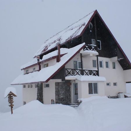Snow House Hostel Gudauri Exterior foto